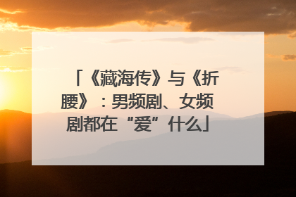 《藏海传》与《折腰》：男频剧、女频剧都在“爱”什么