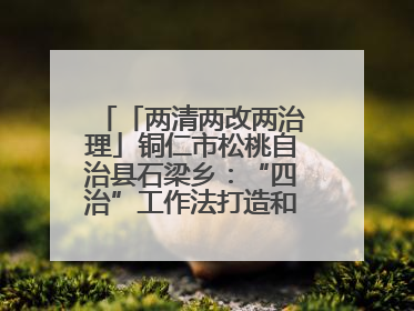 「两清两改两治理」铜仁市松桃自治县石梁乡：“四治”工作法打造和美新农村