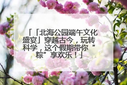 「北海公园端午文化盛宴」穿越古今，玩转科学，这个假期带你“粽”享欢乐！