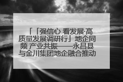 「强信心 看发展·高质量发展调研行」地企同频 产业共振——永昌县与金川集团地企融合推动重大项目建设