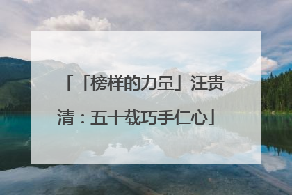 「榜样的力量」汪贵清：五十载巧手仁心