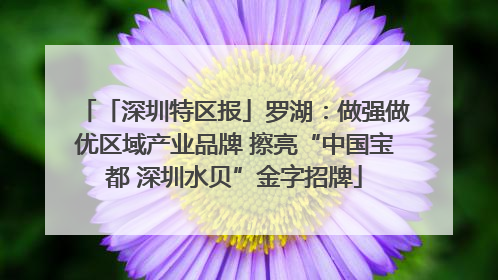 「深圳特区报」罗湖：做强做优区域产业品牌 擦亮“中国宝都 深圳水贝”金字招牌
