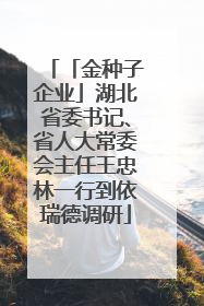 「金种子企业」湖北省委书记、省人大常委会主任王忠林一行到依瑞德调研