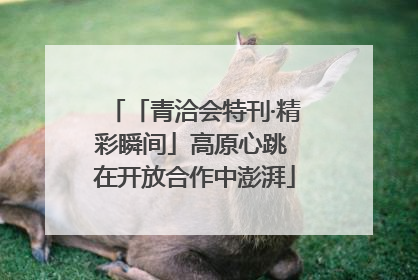 「青洽会特刊·精彩瞬间」高原心跳 在开放合作中澎湃