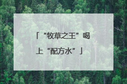 “牧草之王”喝上“配方水”