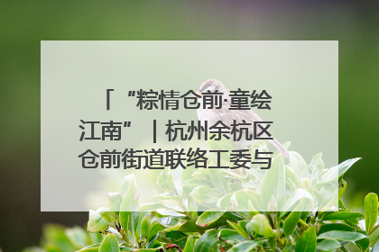 “粽情仓前·童绘江南”｜杭州余杭区仓前街道联络工委与辖区群众共度佳节