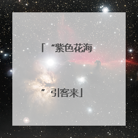 “紫色花海”引客来