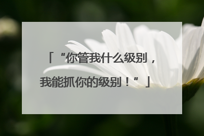 “你管我什么级别，我能抓你的级别！”