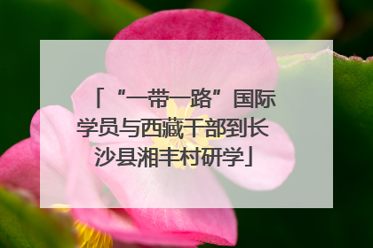 “一带一路”国际学员与西藏干部到长沙县湘丰村研学
