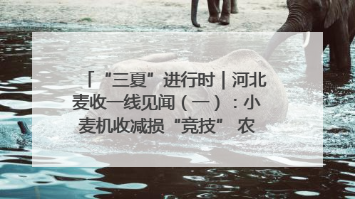 “三夏”进行时｜河北麦收一线见闻（一）：小麦机收减损“竞技” 农机高手麦田“过招”