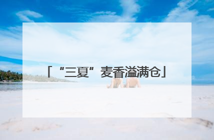 “三夏”麦香溢满仓