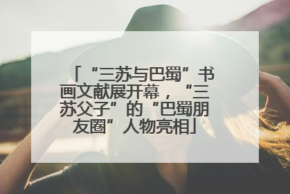 “三苏与巴蜀”书画文献展开幕，“三苏父子”的“巴蜀朋友圈”人物亮相