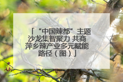 “中国辣都”主题沙龙集智聚力 共商萍乡辣产业多元赋能路径（图）