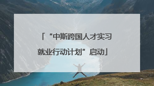 “中斯跨国人才实习就业行动计划”启动