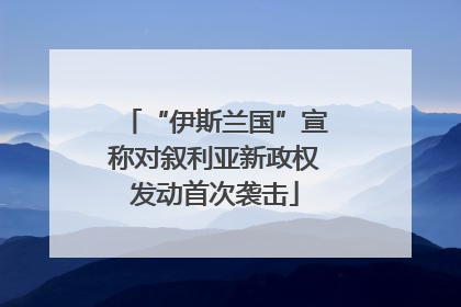 “伊斯兰国”宣称对叙利亚新政权发动首次袭击