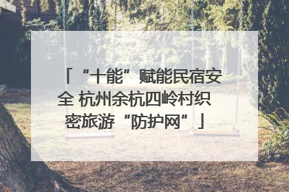“十能”赋能民宿安全 杭州余杭四岭村织密旅游“防护网”
