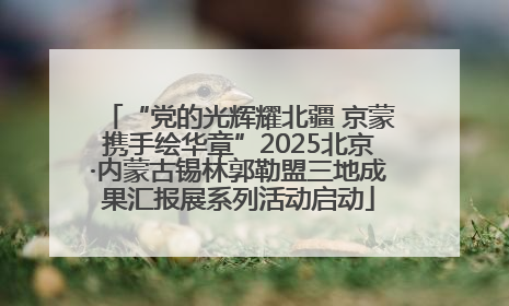 “党的光辉耀北疆 京蒙携手绘华章”2025北京·内蒙古锡林郭勒盟三地成果汇报展系列活动启动