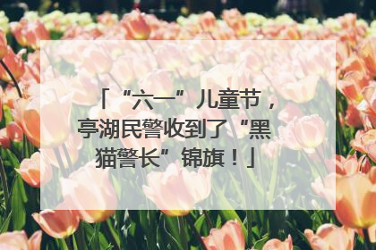 “六一”儿童节，亭湖民警收到了“黑猫警长”锦旗！
