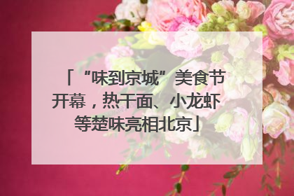 “味到京城”美食节开幕，热干面、小龙虾等楚味亮相北京
