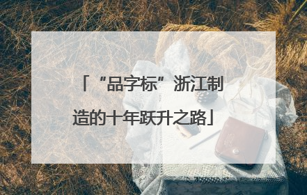 “品字标”浙江制造的十年跃升之路