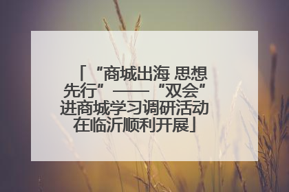 “商城出海 思想先行”——“双会”进商城学习调研活动在临沂顺利开展