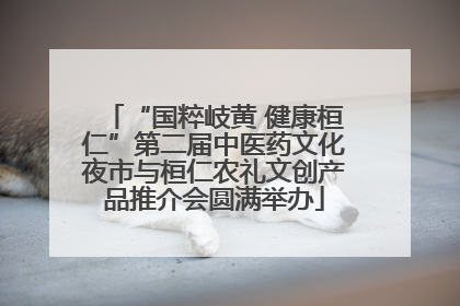 “国粹岐黄 健康桓仁”第二届中医药文化夜市与桓仁农礼文创产品推介会圆满举办