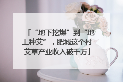 “地下挖煤”到“地上种艾”，肥城这个村艾草产业收入破千万