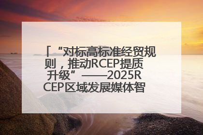 “对标高标准经贸规则，推动RCEP提质升级”——2025RCEP区域发展媒体智库论坛举行专题对话