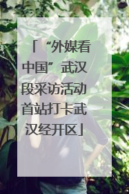 “外媒看中国”武汉段采访活动首站打卡武汉经开区