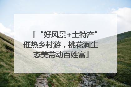“好风景+土特产”催热乡村游，桃花涧生态美带动百姓富