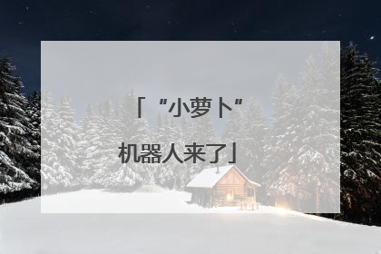 “小萝卜”机器人来了