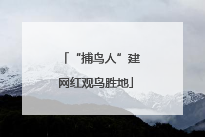 “捕鸟人”建网红观鸟胜地