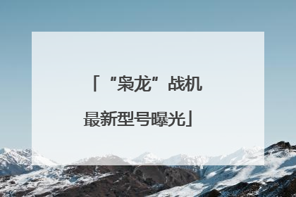 “枭龙”战机最新型号曝光