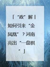 “政”解丨如何引来“金凤凰”？河南亮出“一盘棋”