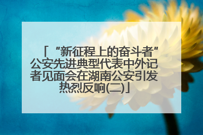 “新征程上的奋斗者”公安先进典型代表中外记者见面会在湖南公安引发热烈反响(二)
