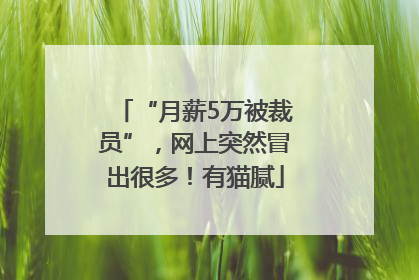 “月薪5万被裁员”，网上突然冒出很多！有猫腻