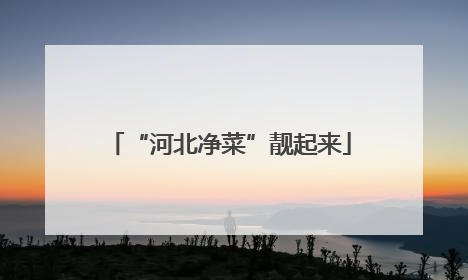“河北净菜”靓起来