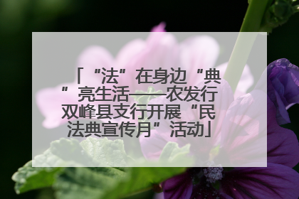“法”在身边“典”亮生活——农发行双峰县支行开展“民法典宣传月”活动