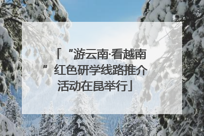 “游云南·看越南”红色研学线路推介活动在昆举行