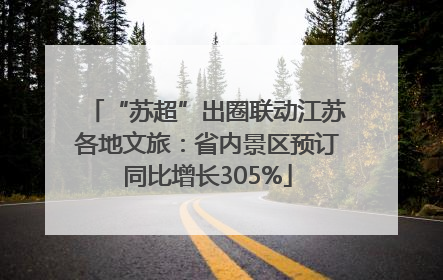 “苏超”出圈联动江苏各地文旅：省内景区预订同比增长305%