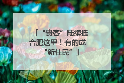 “贵客”陆续抵合肥这里！有的成“新住民”