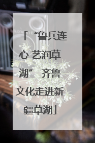 “鲁兵连心 艺润草湖” 齐鲁文化走进新疆草湖