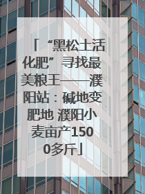 “黑松土活化肥”寻找最美粮王——濮阳站：碱地变肥地 濮阳小麦亩产1500多斤