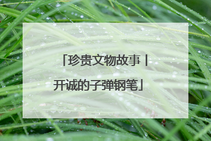 珍贵文物故事丨开诚的子弹钢笔