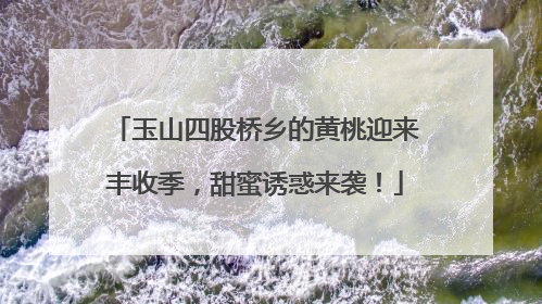 玉山四股桥乡的黄桃迎来丰收季，甜蜜诱惑来袭！