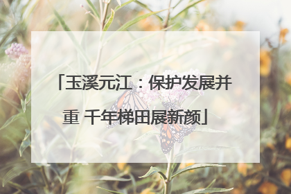 玉溪元江：保护发展并重 千年梯田展新颜