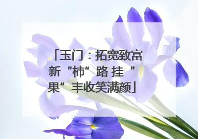 玉门：拓宽致富新“柿”路 挂“果”丰收笑满颜