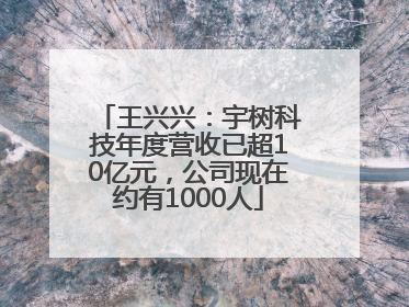 王兴兴：宇树科技年度营收已超10亿元，公司现在约有1000人