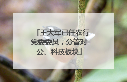 王大军已任农行党委委员，分管对公、科技板块