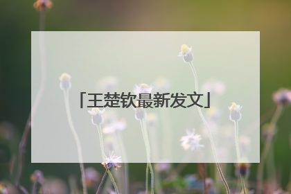 王楚钦最新发文